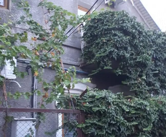 Гостевой дом «Солнце Анапы»